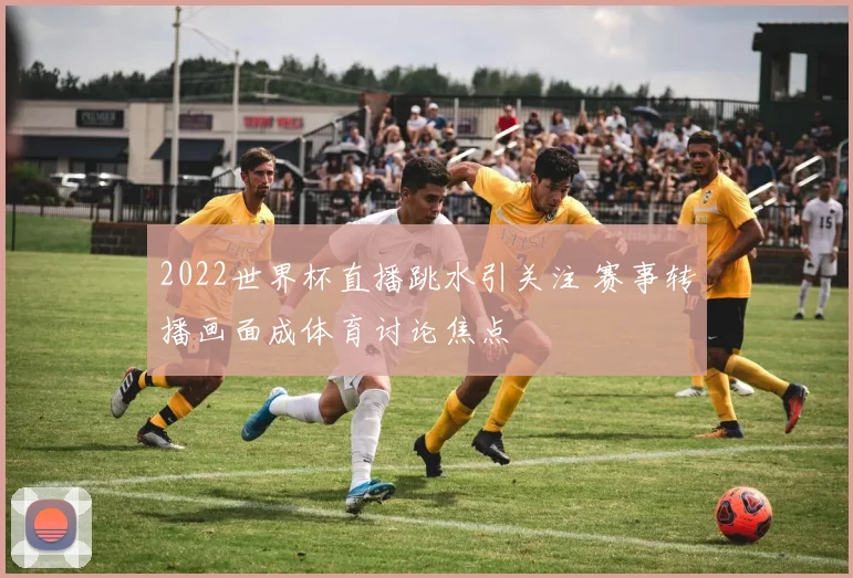 2022世界杯直播跳水引关注 赛事转播画面成体育讨论焦点