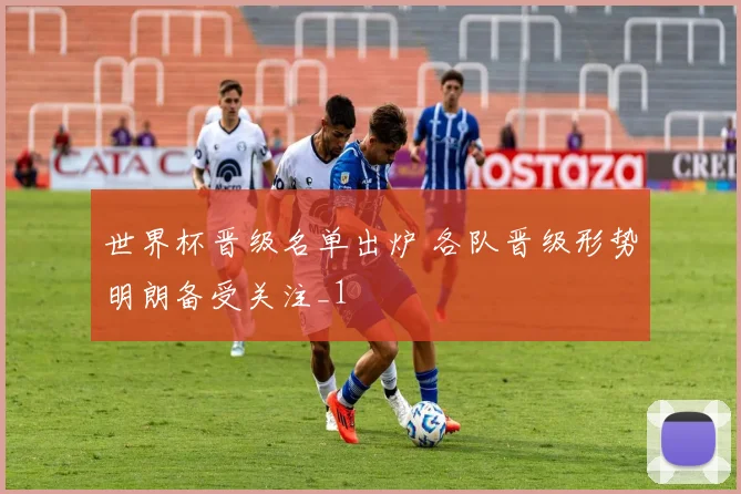 世界杯晋级名单出炉 各队晋级形势明朗备受关注_1