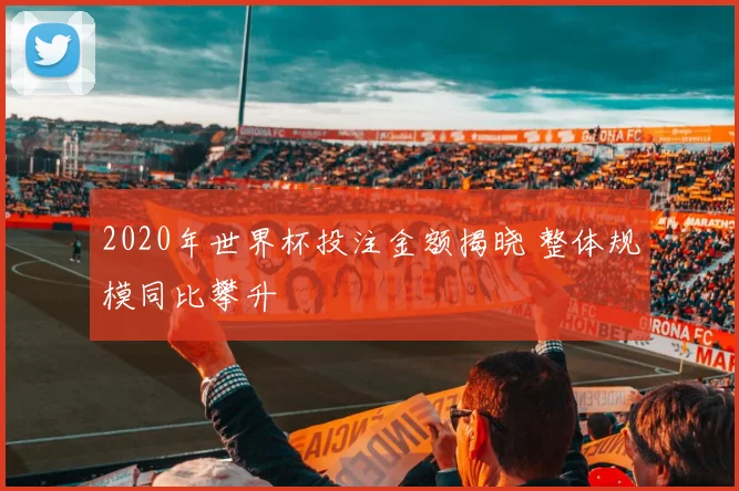 2020年世界杯投注金额揭晓 整体规模同比攀升