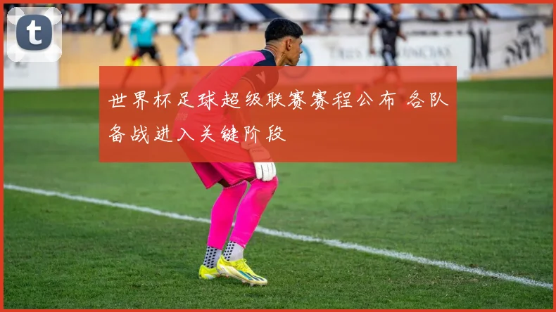 世界杯足球超级联赛赛程公布 各队备战进入关键阶段