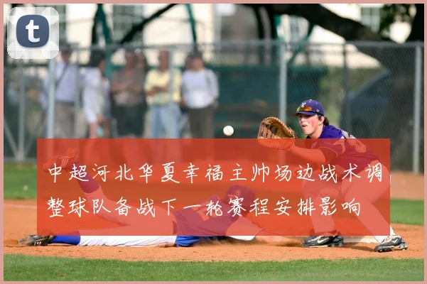 中超河北华夏幸福主帅场边战术调整球队备战下一轮赛程安排影响