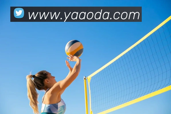 leyu乐鱼手机官网入口平台生态图